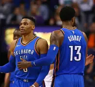 杜兰特13太阳花